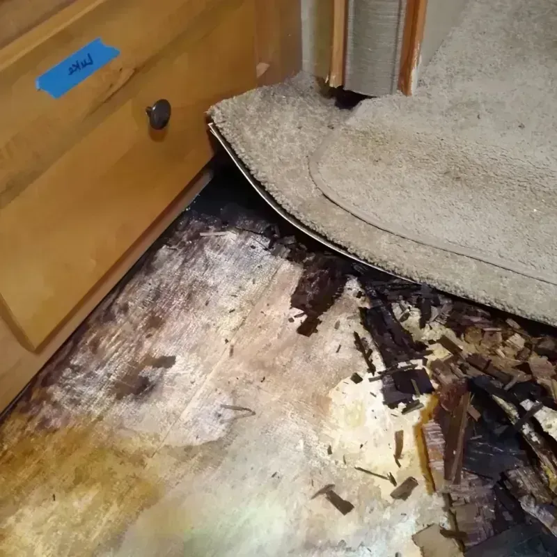 Wood Floor Water Damage in Battle Creek, MI